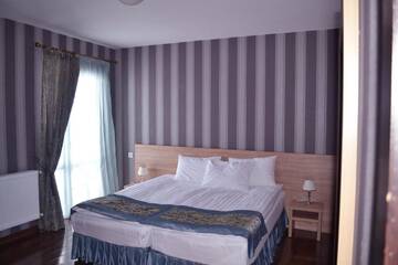 Фото номера Стандартный двухместный номер с 1 кроватью Отель Edelweiss Hotel г. Гудаури 6
