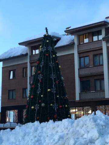 Фото номера Апартаменты с видом на горы Апарт-отели Apartment New Gudauri IV г. Гудаури 77