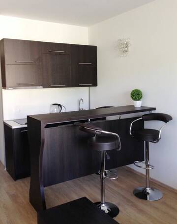 Фото Апарт-отели Gudauri Lounge Apartment г. Гудаури 2