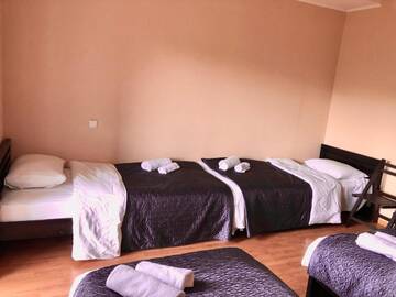 Фото номера Четырехместный номер с балконом Гостевой дом Veranda Hotel г. Гудаури 11