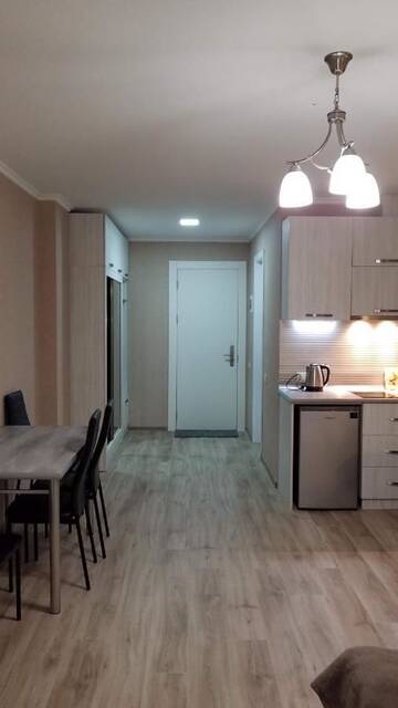 Фото Апарт-отели New Gudauri Ski Loft #101 г. Гудаури 5