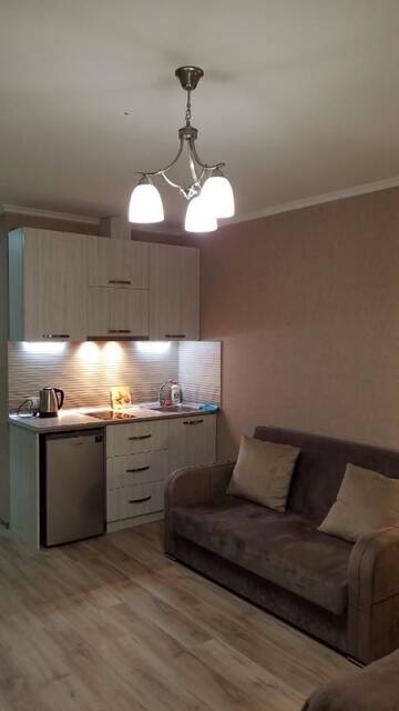 Фото номера Апартаменты-студио Апарт-отели New Gudauri Ski Loft #101 г. Гудаури 9