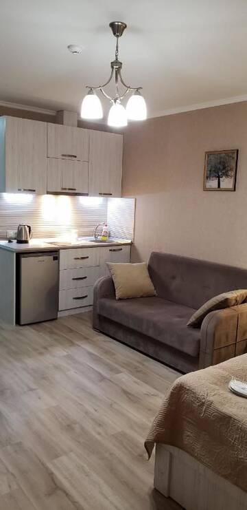 Фото номера Апартаменты-студио Апарт-отели New Gudauri Ski Loft #101 г. Гудаури 7