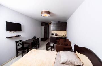 Фото номера Номер-студио с видом на горы Апарт-отели Gudauri New Loft 1 TOPHIT г. Гудаури 7
