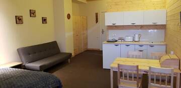 Фото номера Семейный номер-студио Апарт-отели New Gudauri Suites г. Гудаури 43