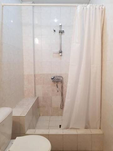 Фото номера Большой двухместный номер с 1 кроватью Гостевой дом Hotel Shele г. Гудаури 15