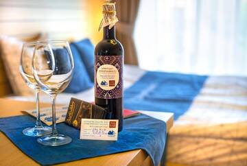 Фото номера Апартаменты с видом на горы Апарт-отели Gudauri Travel Apartments in Suites (New Gudauri) г. Гудаури 7