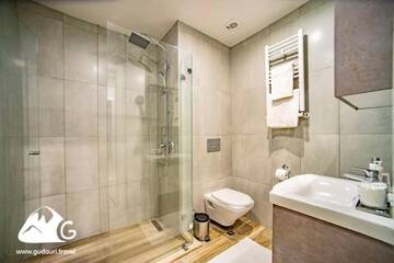 Фото номера Апартаменты с видом на горы Апарт-отели Gudauri Travel Apartments in Suites (New Gudauri) г. Гудаури 11