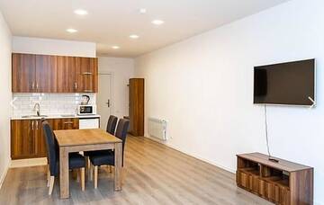 Фото номера Апартаменты с видом на горы Апарт-отели Gudauri Travel Apartments in Suites (New Gudauri) г. Гудаури 9