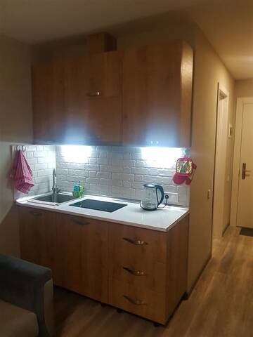 Фото номера Стандартный номер-студио Апарт-отели New Gudauri Loft 2 Mano 1 г. Гудаури 8