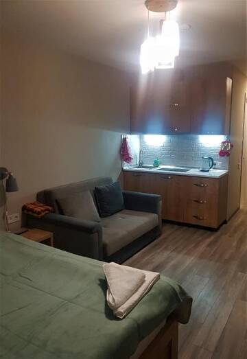 Фото номера Стандартный номер-студио Апарт-отели New Gudauri Loft 2 Mano 1 г. Гудаури 71