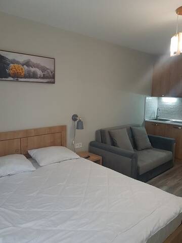 Фото номера Стандартный номер-студио Апарт-отели New Gudauri Loft 2 Mano 1 г. Гудаури 7