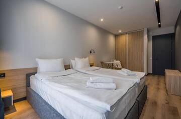 Фото номера Семейный люкс с балконом Апарт-отели Gudauri, Atrium Suites г. Гудаури 3