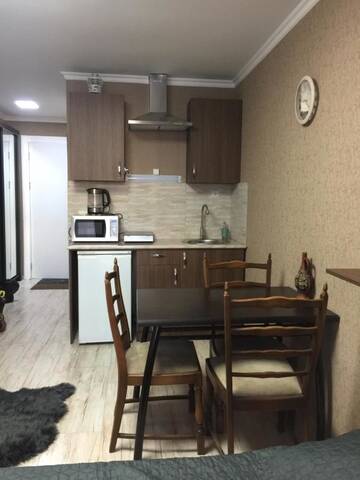 Фото номера Апартаменты-студио Апарт-отели New Gudauri Apartment Belle Epoque With a Terrace г. Гудаури 7